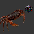 Realistic Brown Crab With Colorful Rubik's Cube On Gray Background