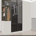 Modern Wardrobe Interior Design with Glass Doors Hanging Area and Storage Drawers