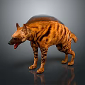 Striped Hyena With Open Mouth Standing On Gray Background With Ground Reflection