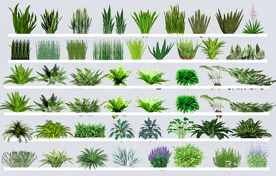 Diverse Collection of Flowers and Green Plants With Various Leaf Shapes Sizes And Purple Blooms 3d model 