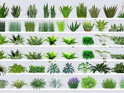 Diverse Collection of Flowers and Green Plants With Various Leaf Shapes Sizes And Purple Blooms 3d model