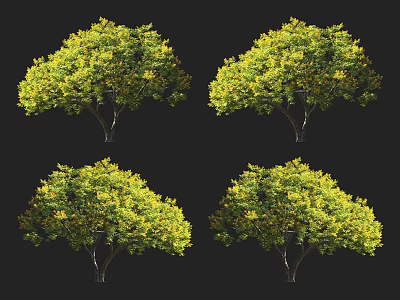 Vibrant Arbor With Green and Yellow Leaves Multiple Crown Shaped Foliage 3d model