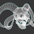 Fantasy Game Character Skull With Large Curved Horns And Sharp Teeth