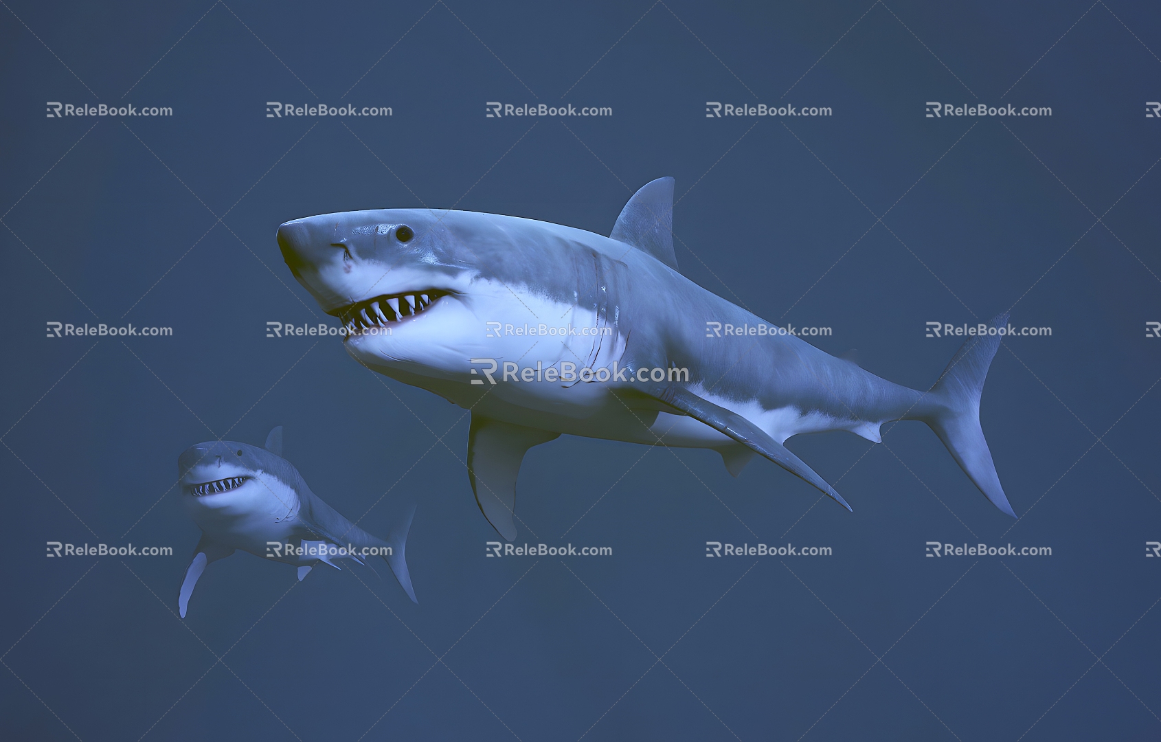 Modern Shark Great White Shark 3d model