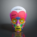 facial muscle facial muscle tissue muscle human muscle human muscle 3d model