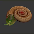 Snail Cartoon Snail Small Snail Reptile Cold Blooded Animal Reptile 3d model