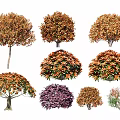 Red leaf heather ball shrub ball red shrub ball hedgerow shrub safflower following wood ball 3d model