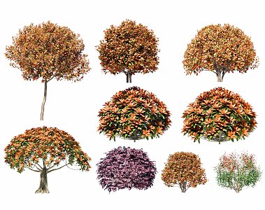 Red leaf heather ball shrub ball red shrub ball hedgerow shrub safflower following wood ball 3d model