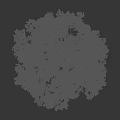 Lush Arbor Tree With Green Foliage And Brown Trunk Against Black Background