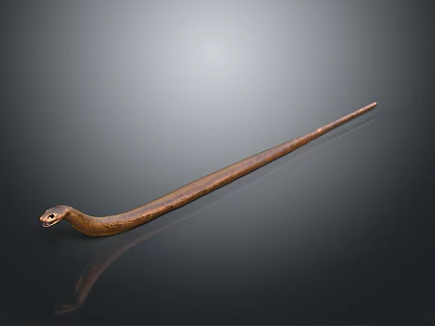 Brown Snake With Long Slender Body On Smooth Black Surface With Reflection 3d model