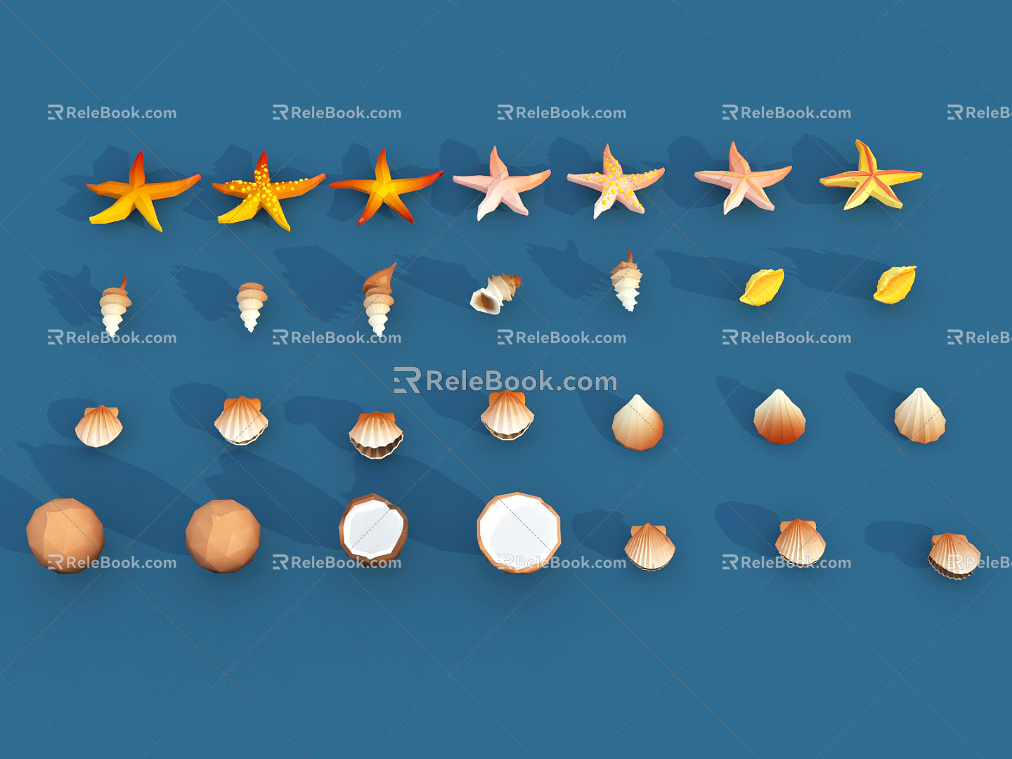 Modern Shell Cartoon Starfish Coconut 3d model