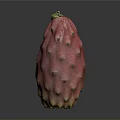 Fresh Red Dragon Fruit With Green Spikes And Vibrant Ripe Exterior