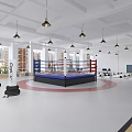Spacious Gym Interior With Hanging Lights Equipment And Floor Patterns 3d model