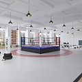 Gym Sports Room Boxing Room Dance Room Basketball Room Sports Hall Lounge 3d model