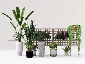 Modern Potted Plant Flower Pot Plant Vase Ornaments Green Plant Green Leaf Trees 3d model