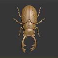 Decorative Golden Beetle Ornament With Intricate Patterns For Home Living