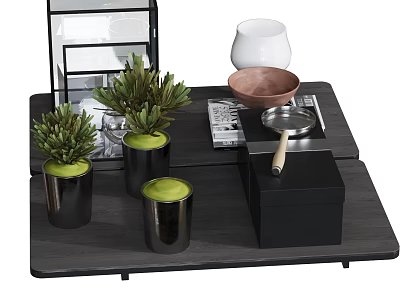 Decorative Ornament Set Featuring Green Plants Black Pots White Cup Brown Bowl On Dark Tray 3d model