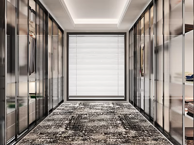 Modern Walk In Closet Interior Design With Glass Door Cabinets Large Rug And Blinds Window 3d model