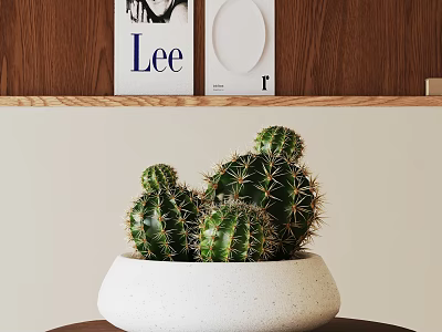 Bonsai Cactus Plant In White Pot With Green Spiky Cacti On Table 3d model