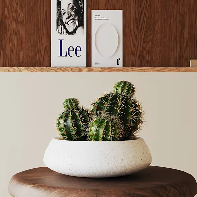 Bonsai Cactus Plant In White Pot With Green Spiky Cacti On Table 3d model