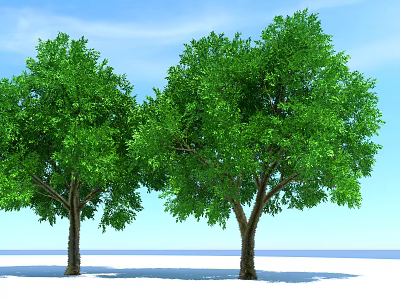 Two Tall Green Trees With Distinct Trunks And Lush Foliage Under Clear Blue Sky 3d model
