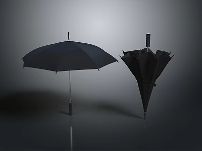 Black Umbrella for Daily Use Open and Closed with Practical Waterproof Canopy 3d model