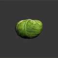 Fresh Organic Green Cabbage With Crisp Vibrant Leafy Layers On Dark Background