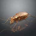 Detailed Golden Beetle on Dark Smooth Surface with Shiny Reflection 3d model