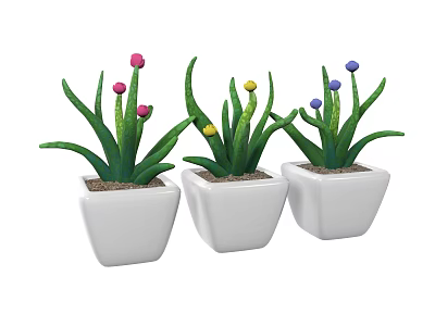 Three Bonsai Potted Plants In White Square Pots With Green Leaves And Colorful Small Flowers 3d model