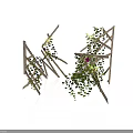 Decorative Climbing Plants on Wooden Trellis with Green Vines and Purple Flowers