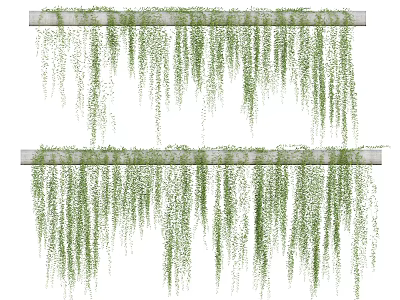 Lush Green Hanging Vines Decorative Foliage From Horizontal Wooden Beams 3d model