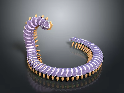 Vibrant Purple And Yellow Millipede With Coiled Body And Numerous Legs 3d model