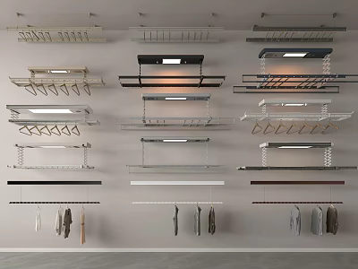 Various Wall Mounted Clothes Racks with Different Designs and Hooks and Hanging Clothes 3d model