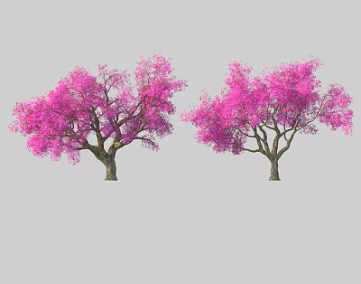 Two Beautiful Trees With Lush Vibrant Pink Blooming Flowers In Garden 3d model