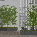 Indoor Bamboo Plants In Concrete Planters With Wooden Floor And Grid Window Background