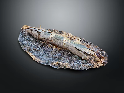 Natural Wood and Stone Decorative Piece with Textured Surface and Contrasting Colors 3d model