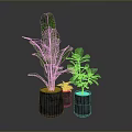 Large Leafy Indoor Plant with Small Green Plants in Gray Concrete Pots