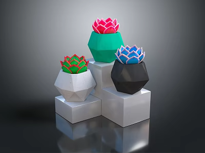 Colorful Succulent Plants in Geometric Pots on White Cube Bases with Dark Background 3d model