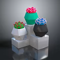 Colorful Succulent Plants in Geometric Pots on White Cube Bases with Dark Background