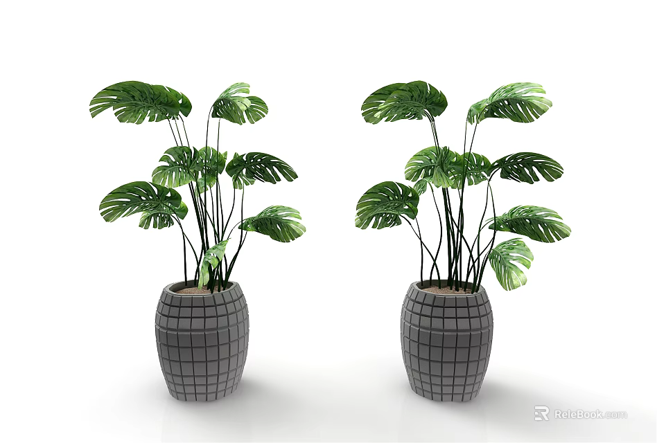 Green Monstera Leaf Potted Plants with Gray Grid Patterned Pots for Home Decor 3d model 