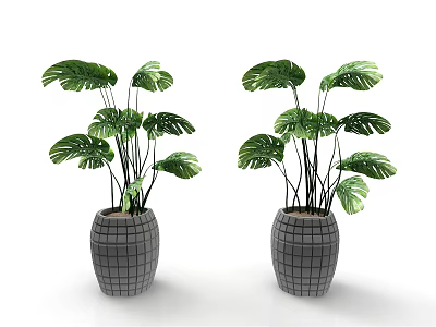 Green Monstera Leaf Potted Plants with Gray Grid Patterned Pots for Home Decor 3d model