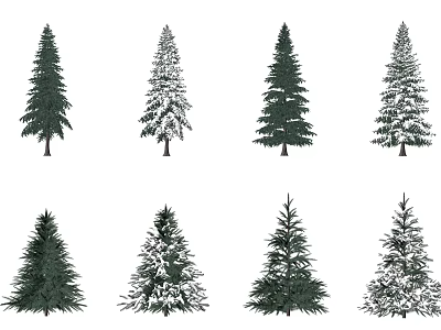 Pine Trees In Various Forms With Snow Covered And Green Foliage 3d model