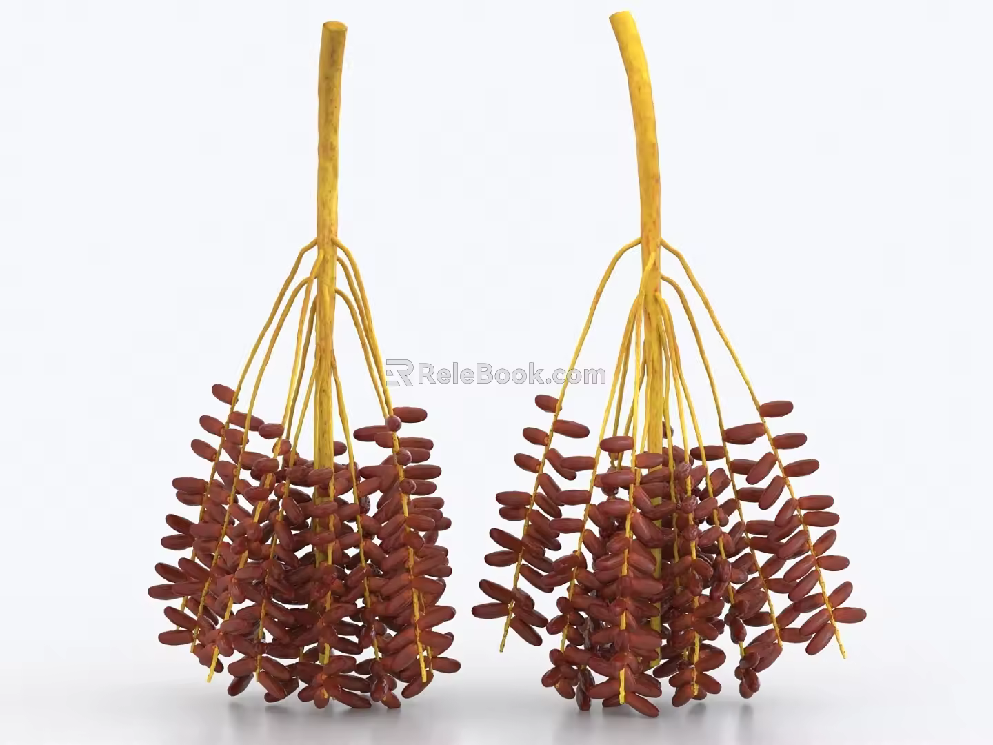 Date palm red date winter date fruit 3d model