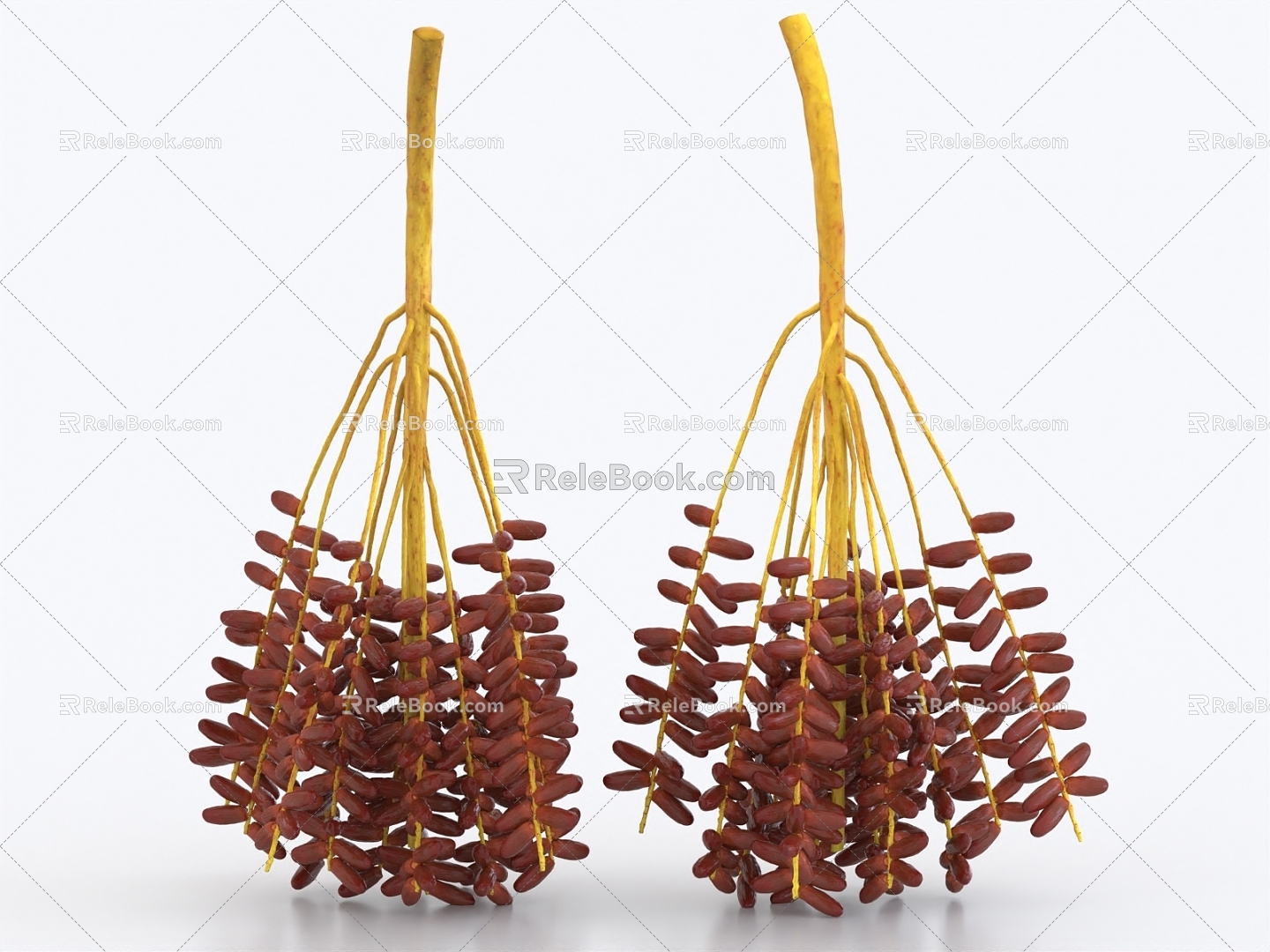 Date palm red date winter date fruit 3d model