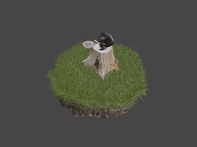 Tree Stump With Black Stone And White Bowl On Green Grass With Soil 3d model