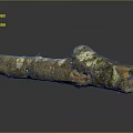 Organic Natural Wood Log Featuring Bark Moss And Textured Surface Reflection
