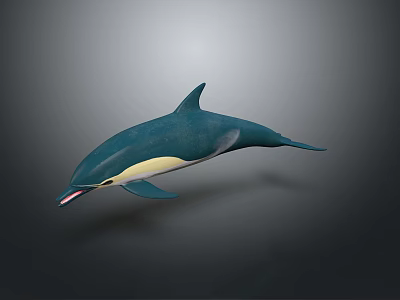 Swimming Blue And White Dolphin With Streamlined Body Against Gray Background 3d model