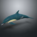 Swimming Blue And White Dolphin With Streamlined Body Against Gray Background 3d model