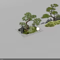 Bonsai Pine Trees in Natural Landscape With Rocks Moss and Pebbles