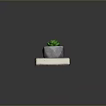 Succulent Plant In Gray Stone Pot Placed On Old Book With Green Leaves